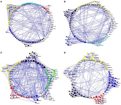 Disrupted Structural and Functional Networks and Their Correlation with Alertness in Right Temporal Lobe Epilepsy: A Graph Theory Study